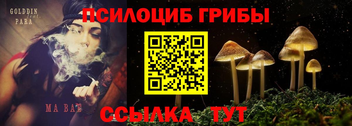 Галлюциногенные грибы Psilocybine cubensis  Вход с VPN  Богородицк  Галлюциногенные грибы прущие грибы 